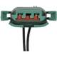 Purchase Top-Quality STANDARD - PRO SERIES - S695 - License Lamp Connector pa1