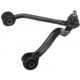 Purchase Top-Quality Control Arm With Ball Joint by DELPHI - TC3192 pa11