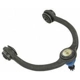 Purchase Top-Quality MEVOTECH - CMS25169 - Control Arm With Ball Joint pa12