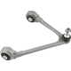 Purchase Top-Quality SUSPENSIA CHASSIS - X21CJ1362 - Suspension Control Arm and Ball Joint Assembly pa1