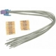 Purchase Top-Quality Control Module Connector by BLUE STREAK (HYGRADE MOTOR) - S1182 pa7