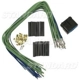 Purchase Top-Quality Control Module Connector by BLUE STREAK (HYGRADE MOTOR) - S1960 pa28