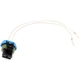 Purchase Top-Quality BLUE STREAK (HYGRADE MOTOR) - S689 - Accelerator Pedal Position Sensor Connector pa1