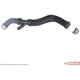Purchase Top-Quality Coolant Overflow Hose by MOTORCRAFT - KM4848 pa4