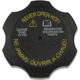 Purchase Top-Quality DORMAN - 902-5601 - Coolant Reservoir Cap pa2