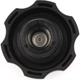 Purchase Top-Quality Coolant Recovery Tank Cap by DORMAN (HD SOLUTIONS) - 902-5201CD pa3