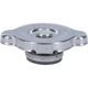 Purchase Top-Quality Coolant Recovery Tank Cap by MOTORAD - T5R pa24