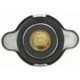Purchase Top-Quality Coolant Recovery Tank Cap by MOTORAD - T5R pa3