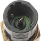 Purchase Top-Quality Coolant Temperature Sending Switch by BLUE STREAK (HYGRADE MOTOR) - TS237 pa2