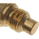 Purchase Top-Quality Coolant Temperature Sending Switch by BLUE STREAK (HYGRADE MOTOR) - TS286 pa4