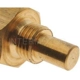 Purchase Top-Quality Coolant Temperature Sending Switch by BLUE STREAK (HYGRADE MOTOR) - TS440 pa4