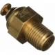 Purchase Top-Quality  Sonde / Capteur de Température de BLUE STREAK (HYGRADE MOTOR) - TS59 pa15