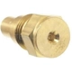 Purchase Top-Quality Coolant Temperature Sending Switch by BLUE STREAK (HYGRADE MOTOR) - TS602 pa2