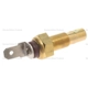 Purchase Top-Quality Coolant Temperature Sending Switch For Gauge by BLUE STREAK (HYGRADE MOTOR) - TS80 pa1