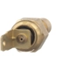 Purchase Top-Quality BWD AUTOMOTIVE - WT522 - Engine Coolant Temperature Sender pa4