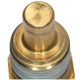 Purchase Top-Quality BLUE STREAK (HYGRADE MOTOR) - TX175 - Capteur de température de liquide de refroidissement pa8