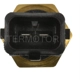 Purchase Top-Quality Coolant Temperature Sensor by BLUE STREAK (HYGRADE MOTOR) - TX57 pa2
