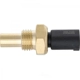 Purchase Top-Quality HOLSTEIN - 2CTS0034 - Temperature Sensor pa2