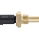 Purchase Top-Quality HOLSTEIN - 2CTS0034 - Temperature Sensor pa3