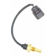 Purchase Top-Quality Coolant Temperature Sensor by HOLSTEIN - 2CTS0117 pa1