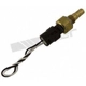 Purchase Top-Quality Coolant Temperature Sensor by WALKER PRODUCTS - 211-91118 pa1