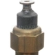 Purchase Top-Quality Coolant Temperature Switch by BLUE STREAK (HYGRADE MOTOR) - TS135 pa6