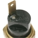 Purchase Top-Quality Coolant Temperature Switch by BLUE STREAK (HYGRADE MOTOR) - TS569 pa7