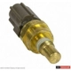 Purchase Top-Quality Sonde de température du liquide de refroidissement by MOTORCRAFT - SW5157 pa12