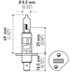 Purchase Top-Quality HELLA - H1 - Bulb pa2