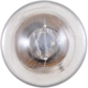 Purchase Top-Quality Cornering Light by PHILIPS - 1141B2 pa8