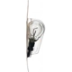 Purchase Top-Quality Cornering Light by PHILIPS - 3057B2 pa36