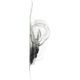 Purchase Top-Quality Cornering Light by PHILIPS - 3057LLB2 pa18