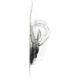 Purchase Top-Quality Cornering Light by PHILIPS - 3057LLB2 pa32