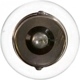 Purchase Top-Quality Cornering Light (Pack of 10) by PHILIPS - P21WCP24V pa13