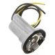 Purchase Top-Quality Cornering Light Socket by BLUE STREAK (HYGRADE MOTOR) - HP4150 pa10