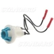 Purchase Top-Quality Cornering Light Socket by BLUE STREAK (HYGRADE MOTOR) - S509 pa20