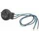 Purchase Top-Quality Cornering Light Socket by BLUE STREAK (HYGRADE MOTOR) - S585 pa11