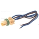 Purchase Top-Quality Cornering Light Socket by BLUE STREAK (HYGRADE MOTOR) - S592 pa15