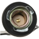 Purchase Top-Quality STANDARD - PRO SERIES - S501 - Back Up Light Socket pa3