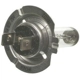 Purchase Top-Quality Cornering Light by WAGNER - BP1255/H7 pa10