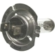 Purchase Top-Quality Cornering Light by WAGNER - BP1255/H7 pa13
