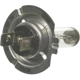 Purchase Top-Quality Cornering Light by WAGNER - BP1255/H7 pa7