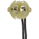 Purchase Top-Quality BLUE STREAK (HYGRADE MOTOR) - S2207 - Courtesy Lamp Connector pa3