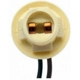 Purchase Top-Quality Courtesy Lamp Connector by BLUE STREAK (HYGRADE MOTOR) - HP4060 pa30