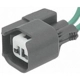 Purchase Top-Quality Courtesy Lamp Connector by BLUE STREAK (HYGRADE MOTOR) - S2342 pa56
