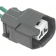 Purchase Top-Quality Courtesy Lamp Connector by BLUE STREAK (HYGRADE MOTOR) - S2342 pa62