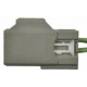 Purchase Top-Quality Courtesy Lamp Connector by BLUE STREAK (HYGRADE MOTOR) - S2344 pa21