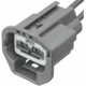 Purchase Top-Quality Courtesy Lamp Connector by BLUE STREAK (HYGRADE MOTOR) - S2534 pa11