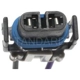 Purchase Top-Quality Courtesy Lamp Connector by BLUE STREAK (HYGRADE MOTOR) - S553 pa1