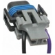 Purchase Top-Quality Courtesy Lamp Connector by BLUE STREAK (HYGRADE MOTOR) - S553 pa12